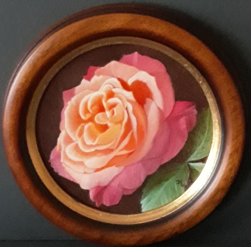 Rose roos